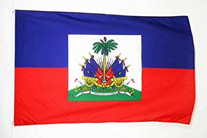 What is the Role of Haitian Diaspora in Development?